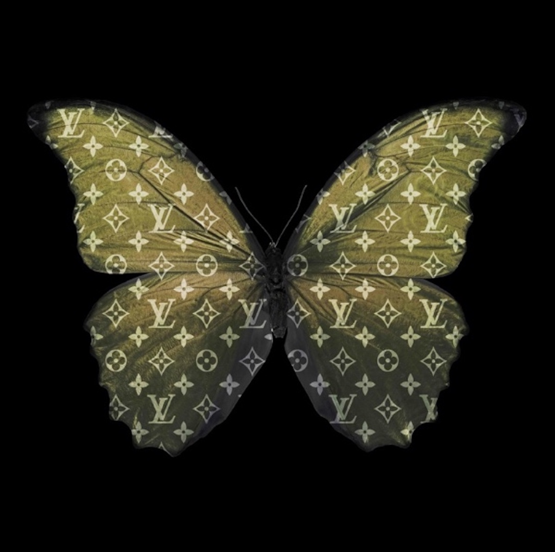 Louis Vuitton Butterfly White